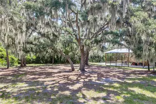 11518 Hammock Oaks Ct, Lithia, FL 33547 - Photo 71