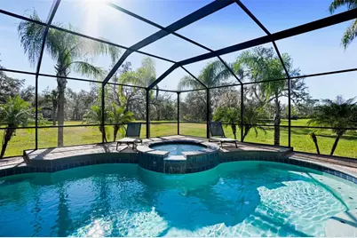 11518 Hammock Oaks Court, Lithia, FL 33547 - Photo 59