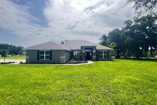 36861 Hidden Vw Cir, Dade City, FL 33523 - Photo 1