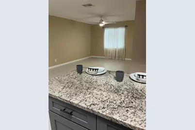 211 Thorn Tree Place, Brandon, FL 33510 - Photo 11