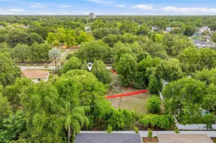 1008 W Adalee St, Tampa, FL 33603 - Photo 9