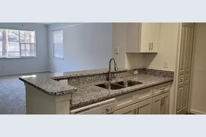 17104 Carrington Park Drive #513, Tampa, FL 33647 - Photo 3