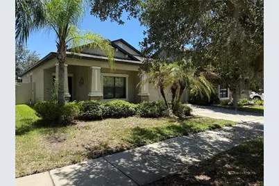 11617 Palmetto Pine Street, Riverview, FL 33569 - Photo 1