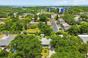 1207 Kapok Cir, Clearwater, FL 33759 - Photo 53