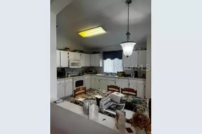 8806 Cypress Hammock Drive, Tampa, FL 33614 - Photo 11