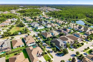 16485 Courtyard Loop, Land O Lakes, FL 34638 - Photo 73