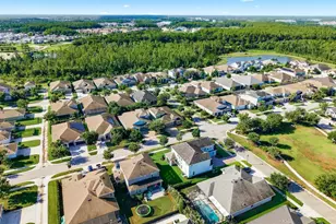 16485 Courtyard Loop, Land O Lakes, FL 34638 - Photo 55