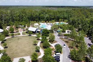 16485 Courtyard Loop, Land O Lakes, FL 34638 - Photo 59