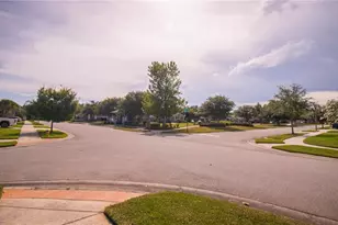 16485 Courtyard Loop, Land O Lakes, FL 34638 - Photo 51