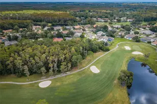 205 Woods Landing Trail, Oldsmar, FL 34677 - Photo 57