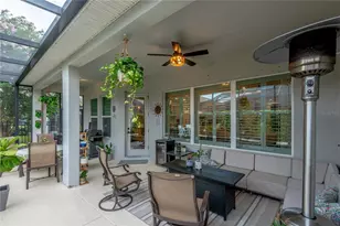 16459 Courtyard Loop, Land O Lakes, FL 34638 - Photo 43