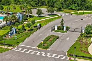 1603 Roseville St, Lutz, FL 33549 - Photo 45