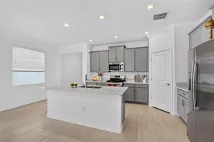 17206 Star Banks St, Wimauma, FL 33598 - Photo 11