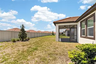 17206 Star Banks St, Wimauma, FL 33598 - Photo 47