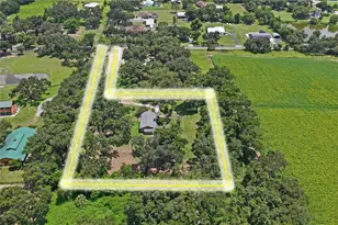 6202 Stafford Rd, Plant City, FL 33565 - Photo 73