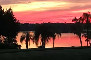 13301 Thoroughbred Dr, Dade City, FL 33525 - Photo 61