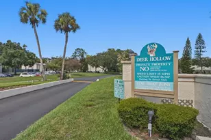 3101 Lake Pine Way, Tarpon Springs, FL 34688 - Photo 43