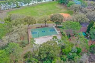 9109 Woodridge Run Dr, Tampa, FL 33647 - Photo 93