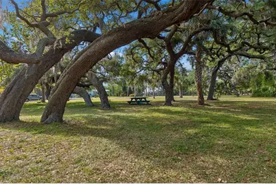 624 Mayo Street, Crystal Beach, FL 34681 - Photo 29