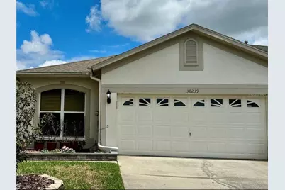 30239 Emmetts Court, Wesley Chapel, FL 33543 - Photo 31