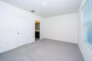 34293 Sorrel Mint Dr, Wesley Chapel, FL 33543 - Photo 19