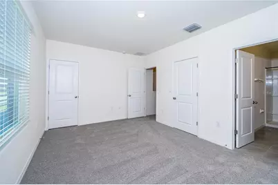 34293 Sorrel Mint Drive, Wesley Chapel, FL 33543 - Photo 21