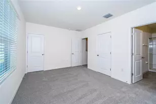 34293 Sorrel Mint Dr, Wesley Chapel, FL 33543 - Photo 21