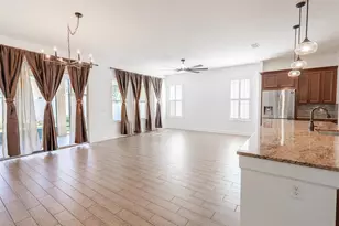 10667 Cardera Dr, Riverview, FL 33578 - Photo 9