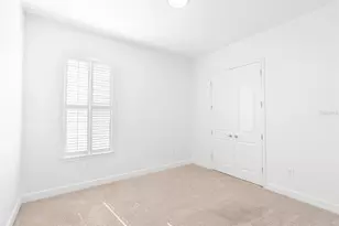 10667 Cardera Dr, Riverview, FL 33578 - Photo 41