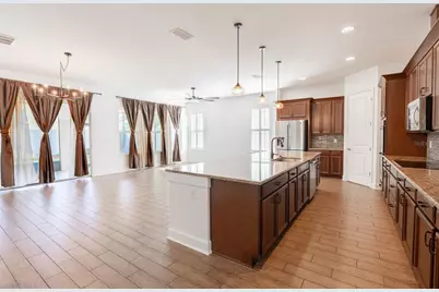 10667 Cardera Drive, Riverview, FL 33578 - Photo 11