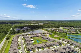 16011 Sonoma Grv Cir, Tampa, FL 33647 - Photo 37
