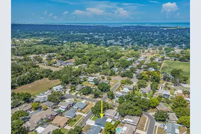 2321 Maben Avenue, Palm Harbor, FL 34683 - Photo 37