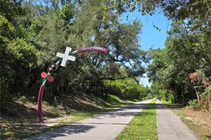 49 Drury Ln, Tarpon Springs, FL 34689 - Photo 57