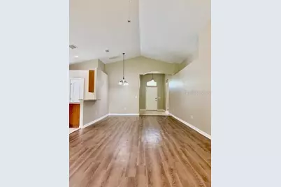 4035 Langdrum Drive, Wesley Chapel, FL 33543 - Photo 3