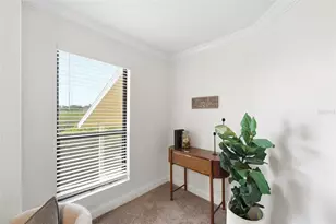 455 Alt 19 S, Palm Harbor, FL 34683 - Photo 5