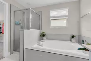 18002 Frame Bend, Land O Lakes, FL 34638 - Photo 17