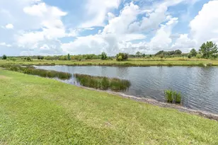 18002 Frame Bend, Land O Lakes, FL 34638 - Photo 35