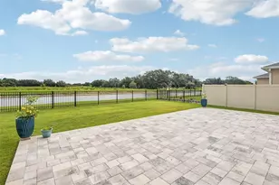 6076 Wandering Willow Dr, Wesley Chapel, FL 33545 - Photo 25