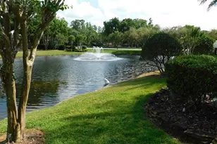 3399 Mermoor Dr, Palm Harbor, FL 34685 - Photo 15