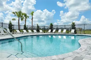 3542 Caspian Chervil St, Wesley Chapel, FL 33543 - Photo 17