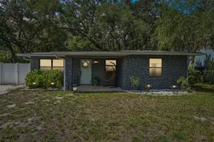 2934 W Ellis Dr, Tampa, FL 33611 - Photo 51