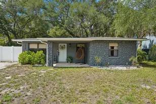 2934 W Ellis Dr, Tampa, FL 33611 - Photo 3