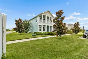 28692 Cozy Creek Dr, Wesley Chapel, FL 33543 - Photo 3