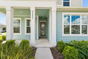 28692 Cozy Creek Dr, Wesley Chapel, FL 33543 - Photo 5