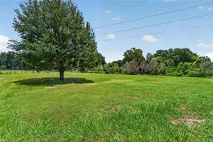 4637 1st St NW, Lakeland, FL 33810 - Photo 59