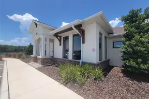 12694 Tannencrest Dr, Riverview, FL 33579 - Photo 61