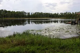 730 Crystal Lake Rd, Lutz, FL 33548 - Photo 47