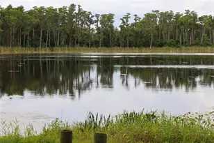 730 Crystal Lake Rd, Lutz, FL 33548 - Photo 45