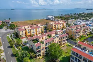 6407 Mayra Shores Ln, Apollo Beach, FL 33572 - Photo 93