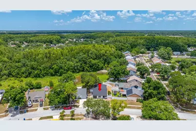 12360 Witheridge Drive, Tampa, FL 33624 - Photo 19